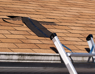Repair any roof leaks Auckland wide