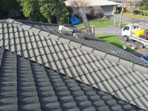 ROOF REPAIRS - ROSEDALE 45e43256331afd50014d8e90bd7cba0a
